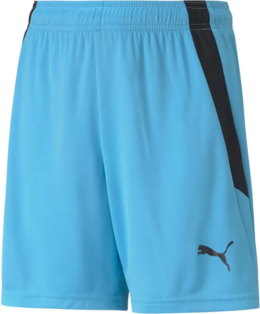 Шорты спортивные TeamLIGA Shorts Jr Puma, синий