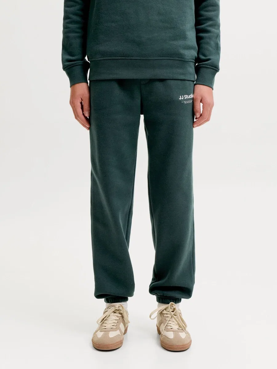 Детские зауженные брюки Jack & Jones Junior 'JPSTKane' цвета ели — фото 2