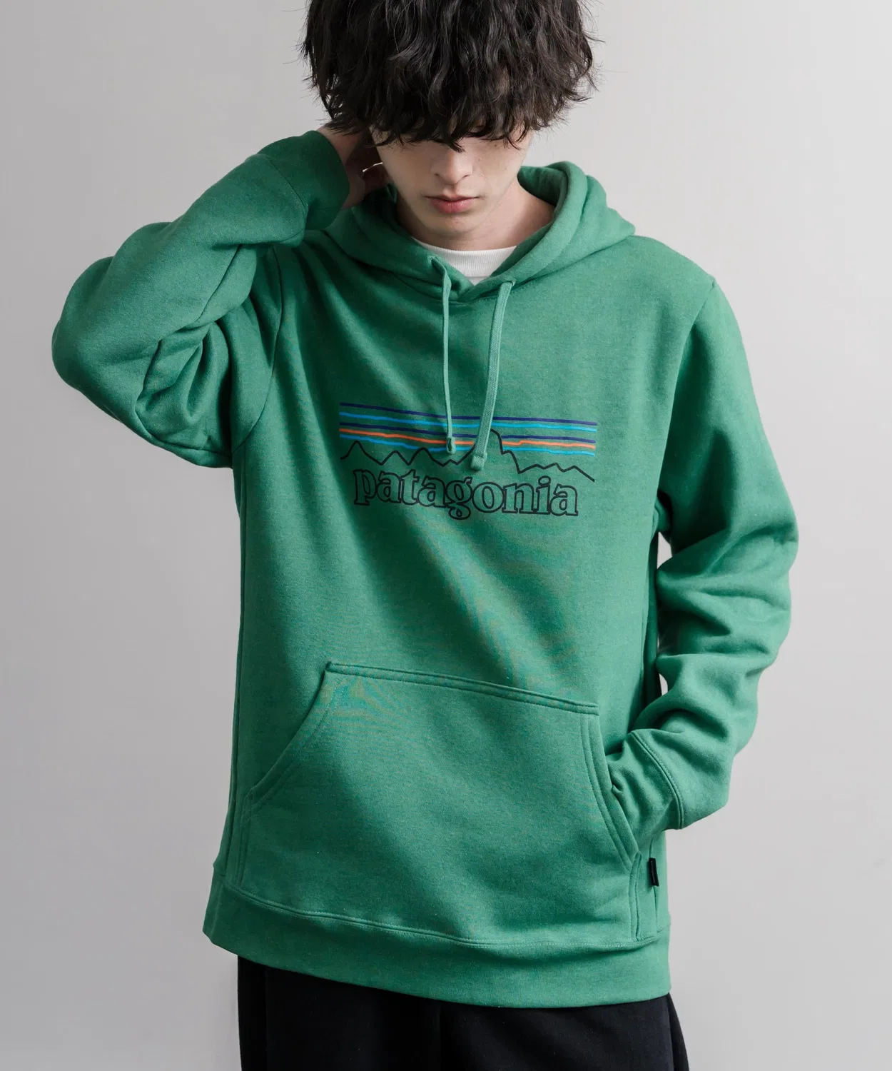 Мужское худи с принтом P-6 Logo Uprisal Patagonia, Green