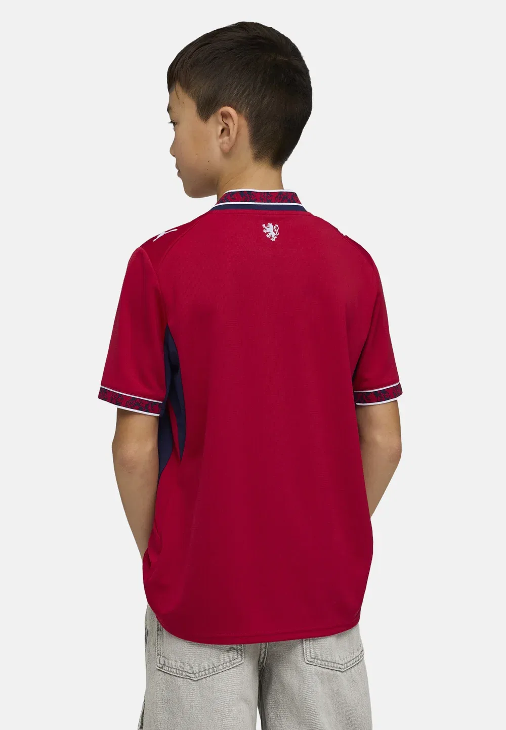Tschechien 2026 heimtrikot - футбольная футболка Puma, Dark Cherry- Navy — фото 3