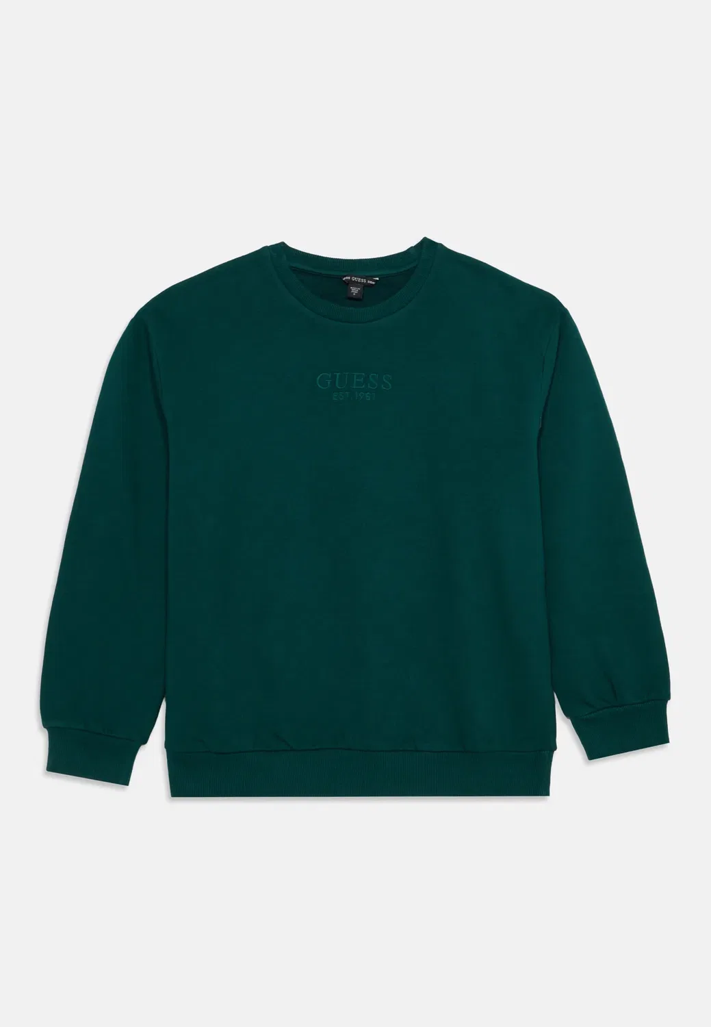 Core active - толстовка Guess, Dark Jade — фото 3
