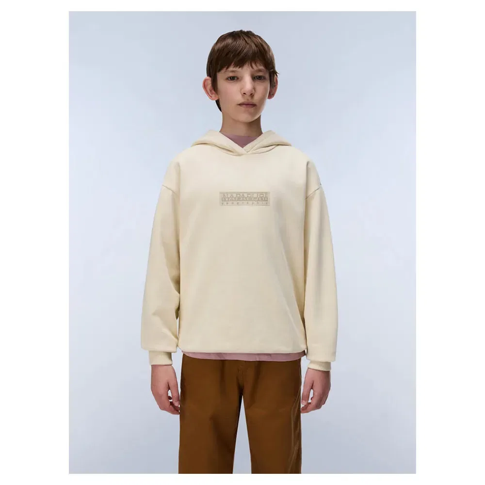 Детское худи для мальчиков New Box Logo Napapijri, Beige