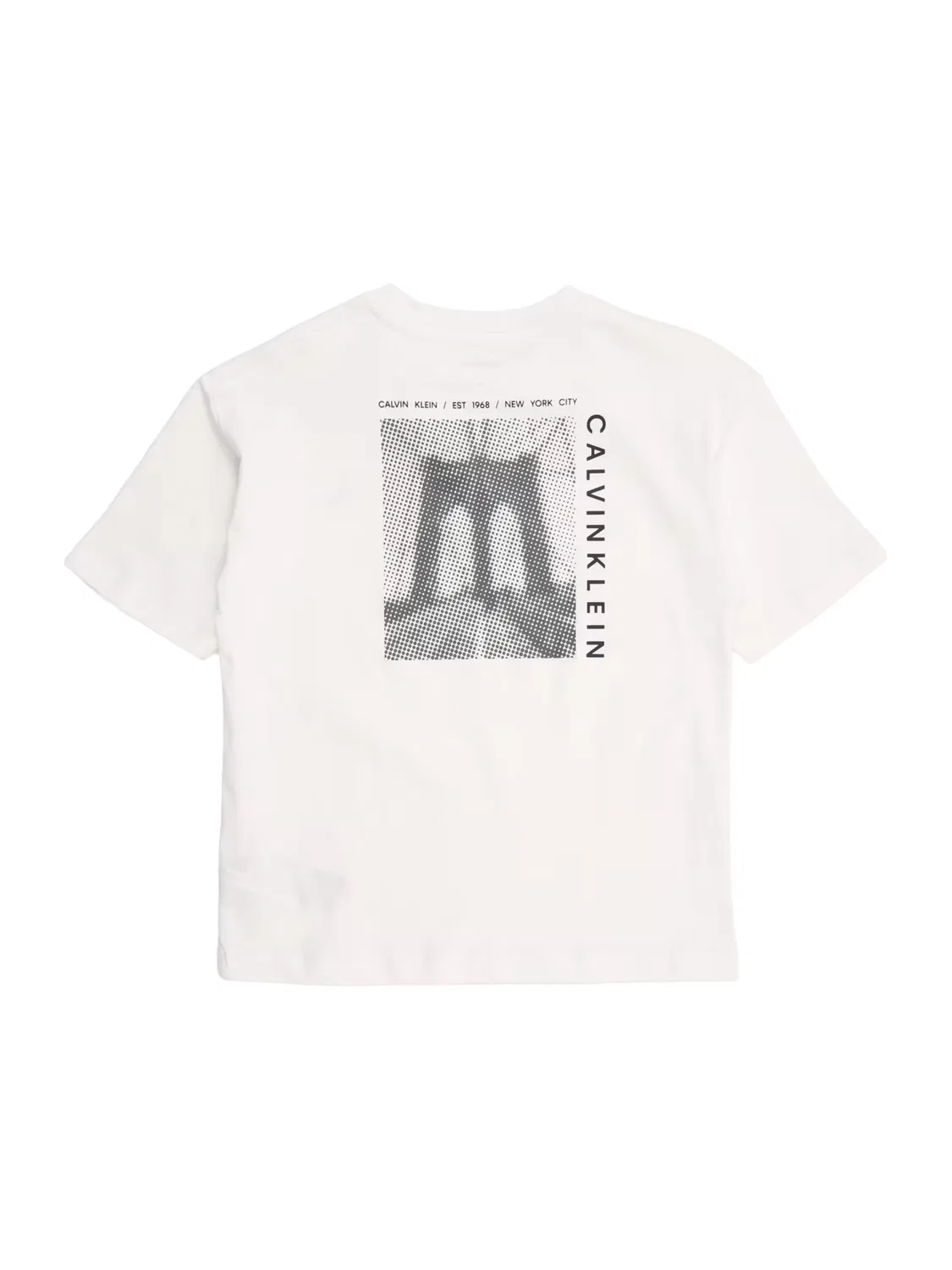 Джинсовая рубашка Calvin Klein Jeans BRIDGE белого цвета — фото 2