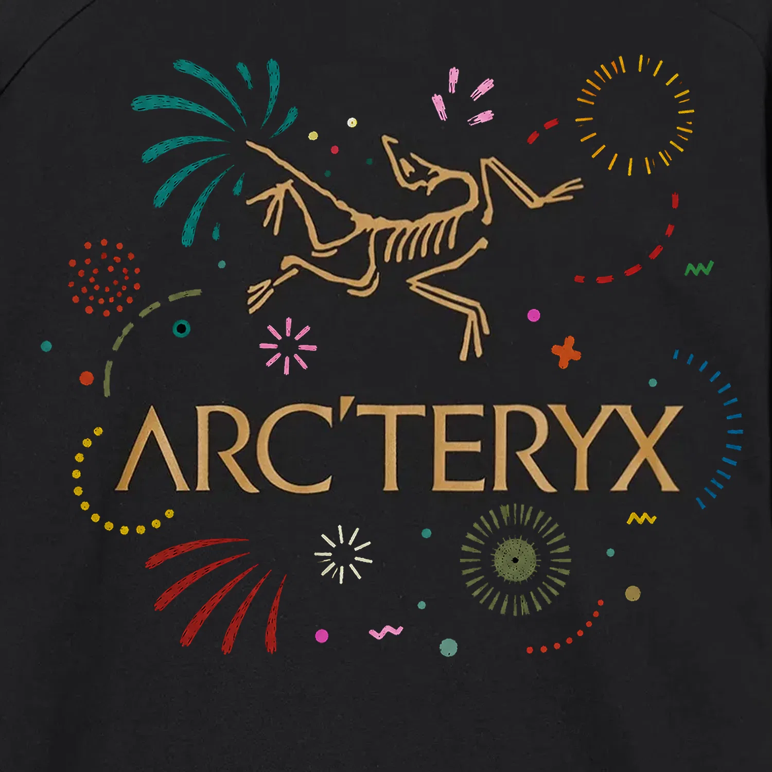 Футболка с круглым вырезом Thin Straight Fit Black Arcteryx, Black — фото 3