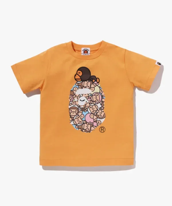 Футболка с принтом Ape Head, мультиколор, Bape, оранжевый