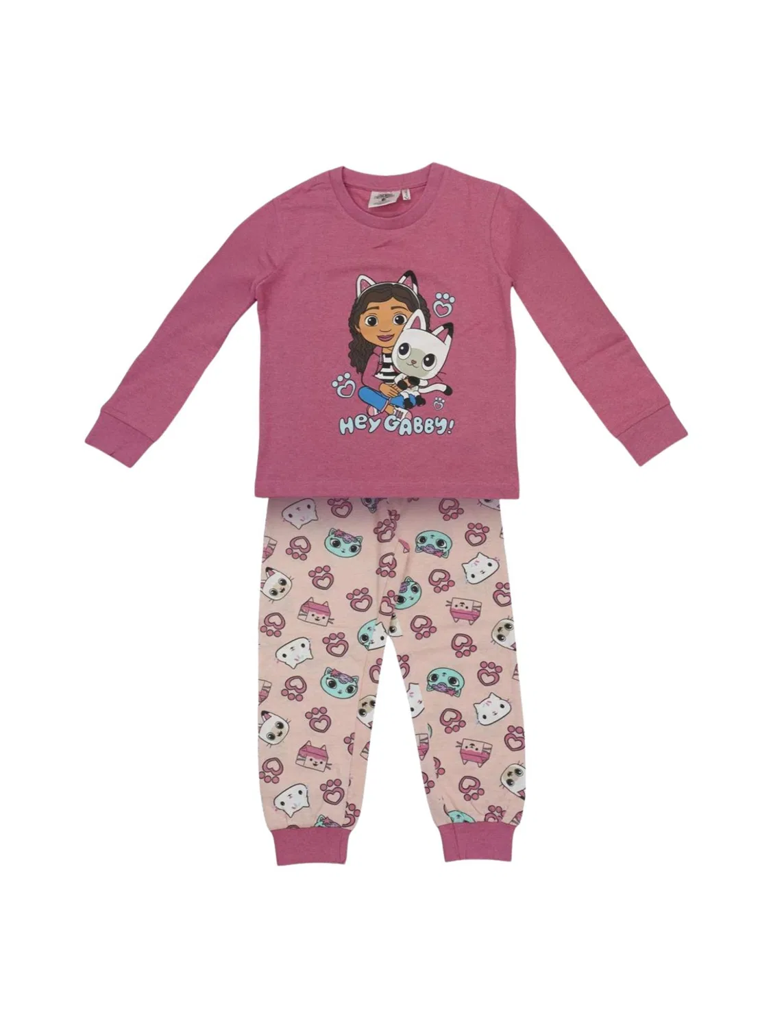 Пижама Disney Kinder Langarm-Pyjama Single Jersey - Gabby's Dollhouse в розовом цвете