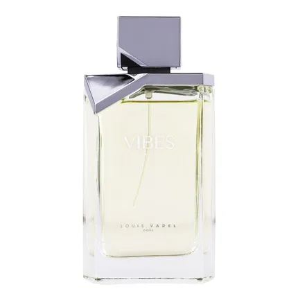 Туалетная вода Louis Varel Vibes For Men, 100 мл