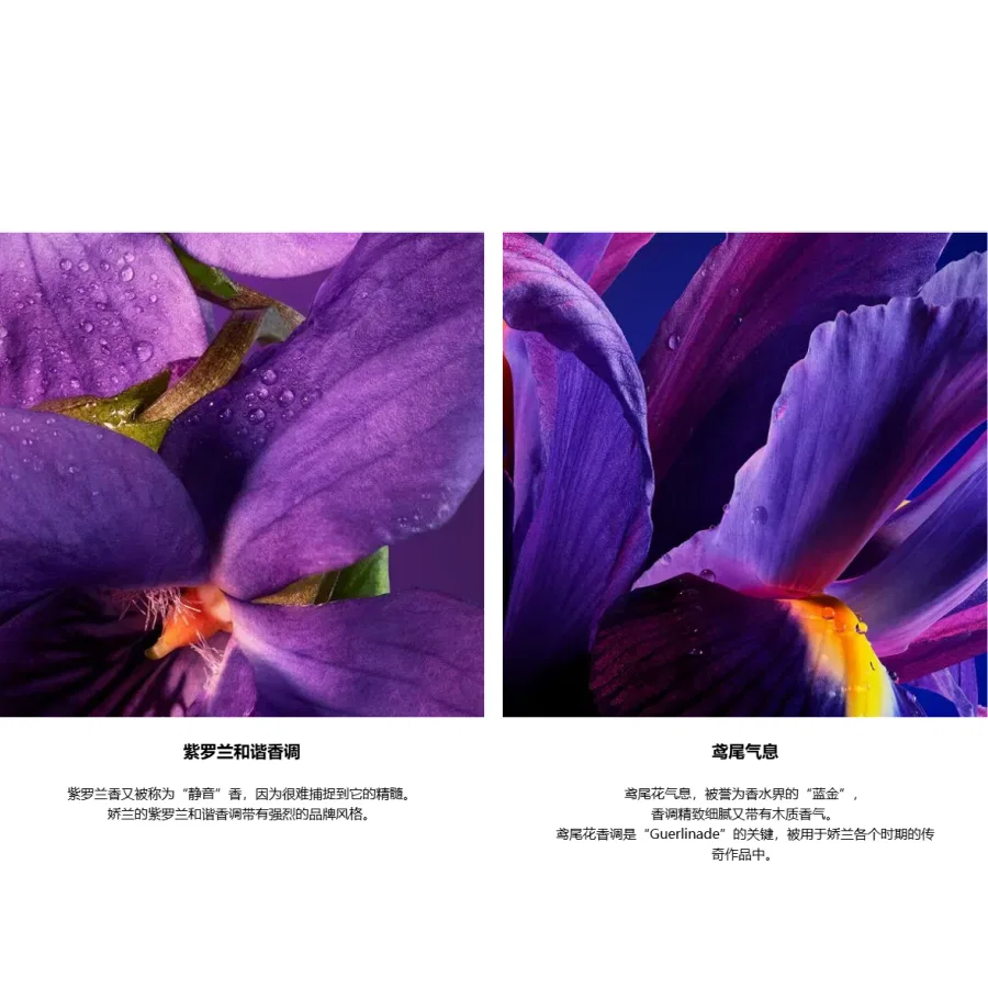Женские духи Violet Strawberry Neroli Iris, GUERLAIN, 75 мл — фото 4