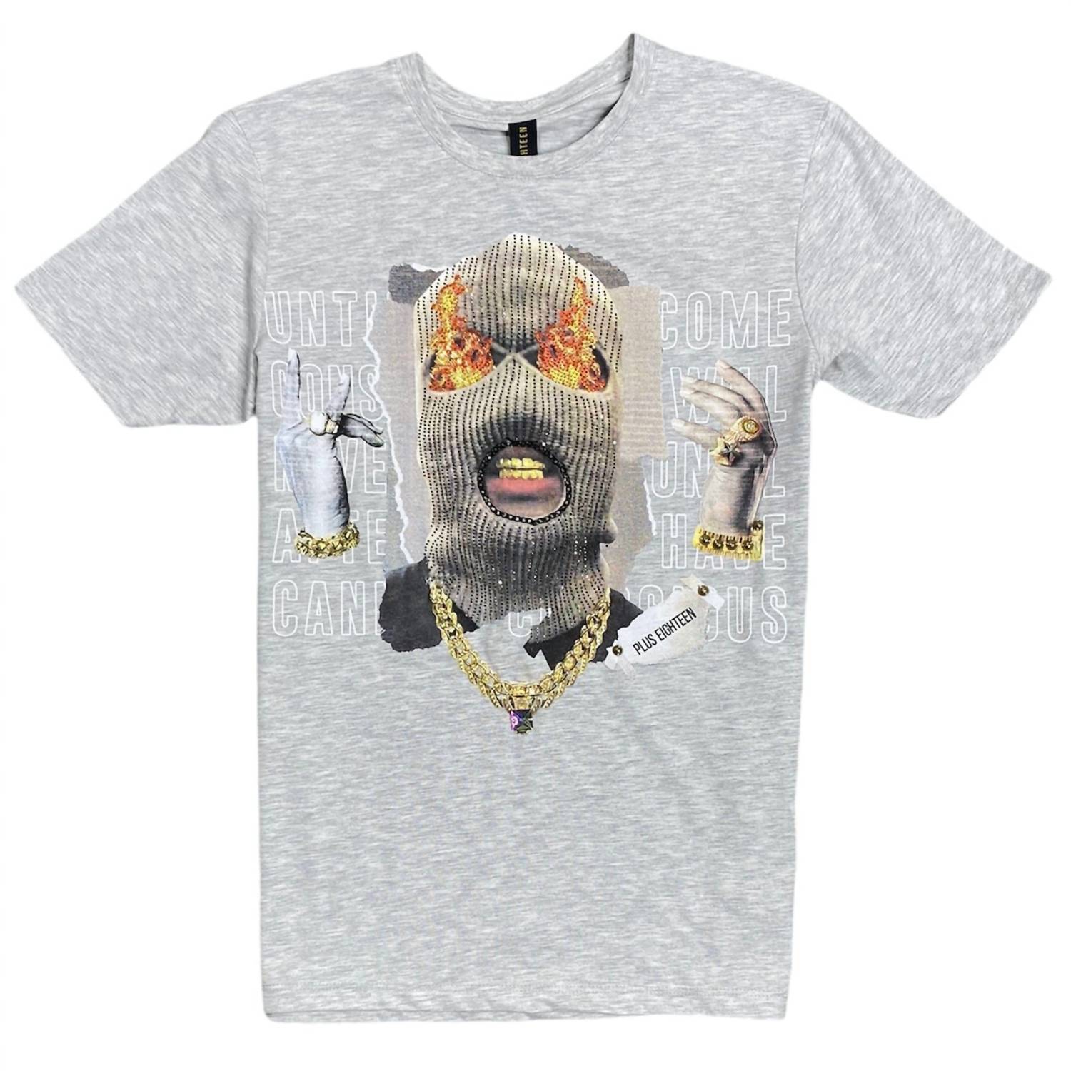 

Мужская футболка Ski Mask серого цвета PLUS EIGHTEEN