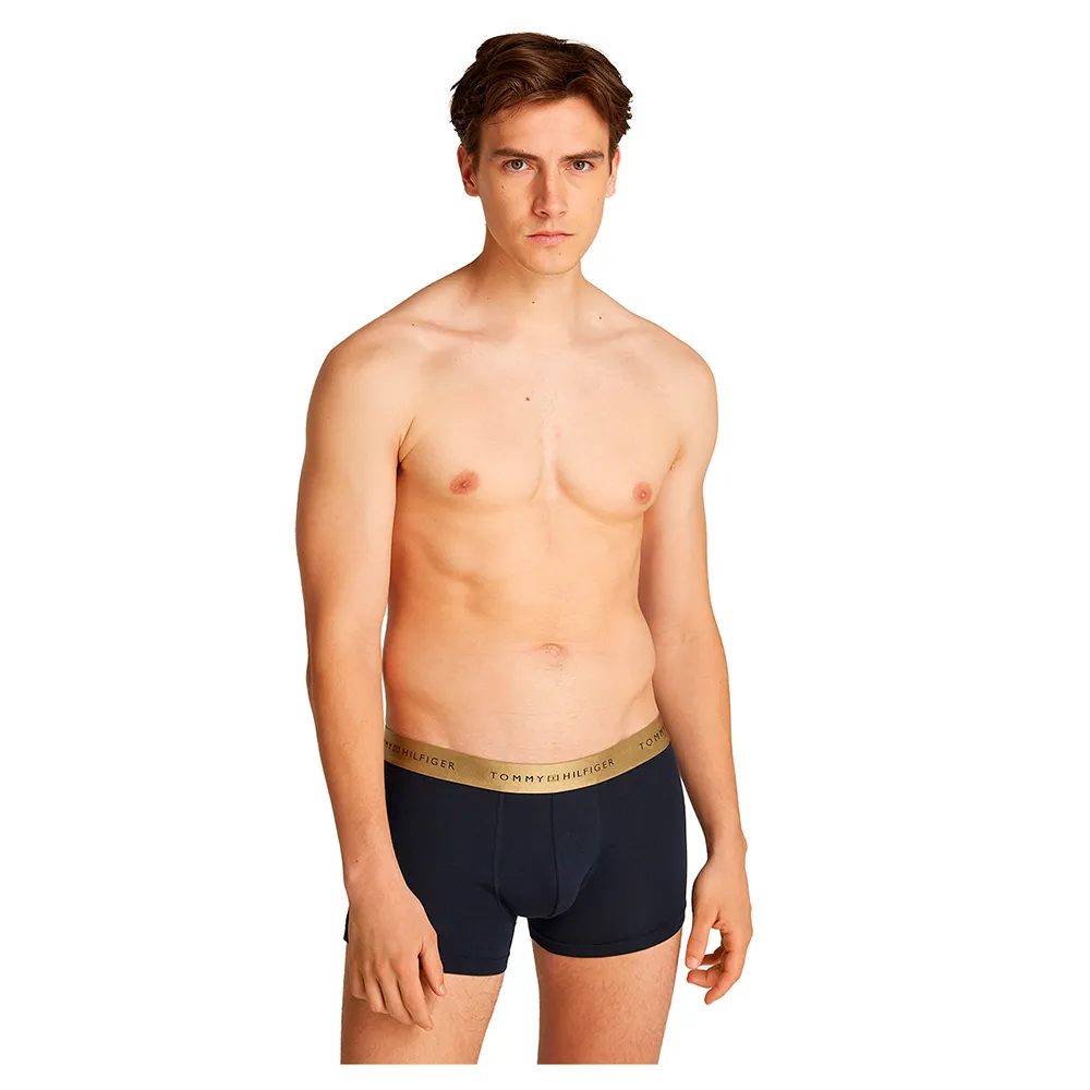 

Трусы-боксеры Tommy Hilfiger Metallic 3 units, черный