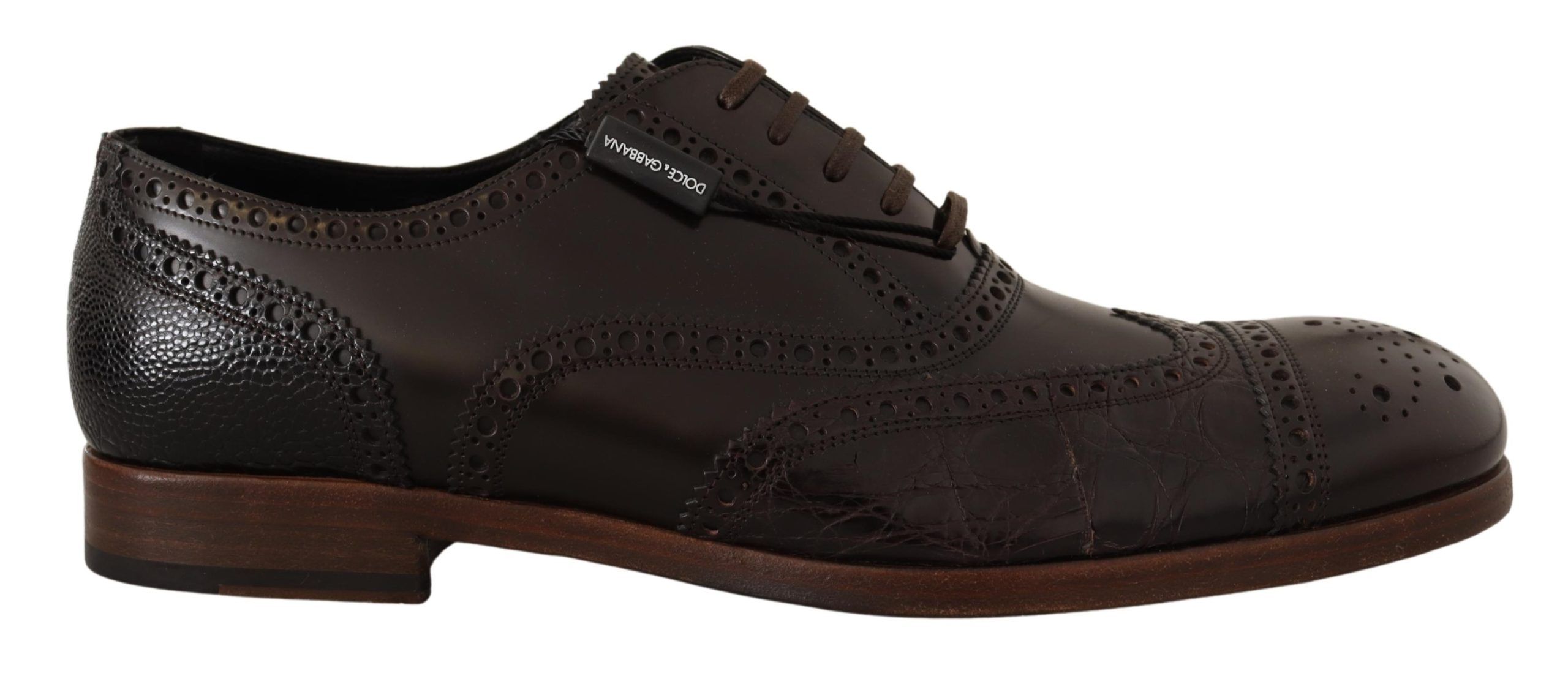 

Элегантные коричневые кожаные туфли-броги Derby Dolce & Gabbana