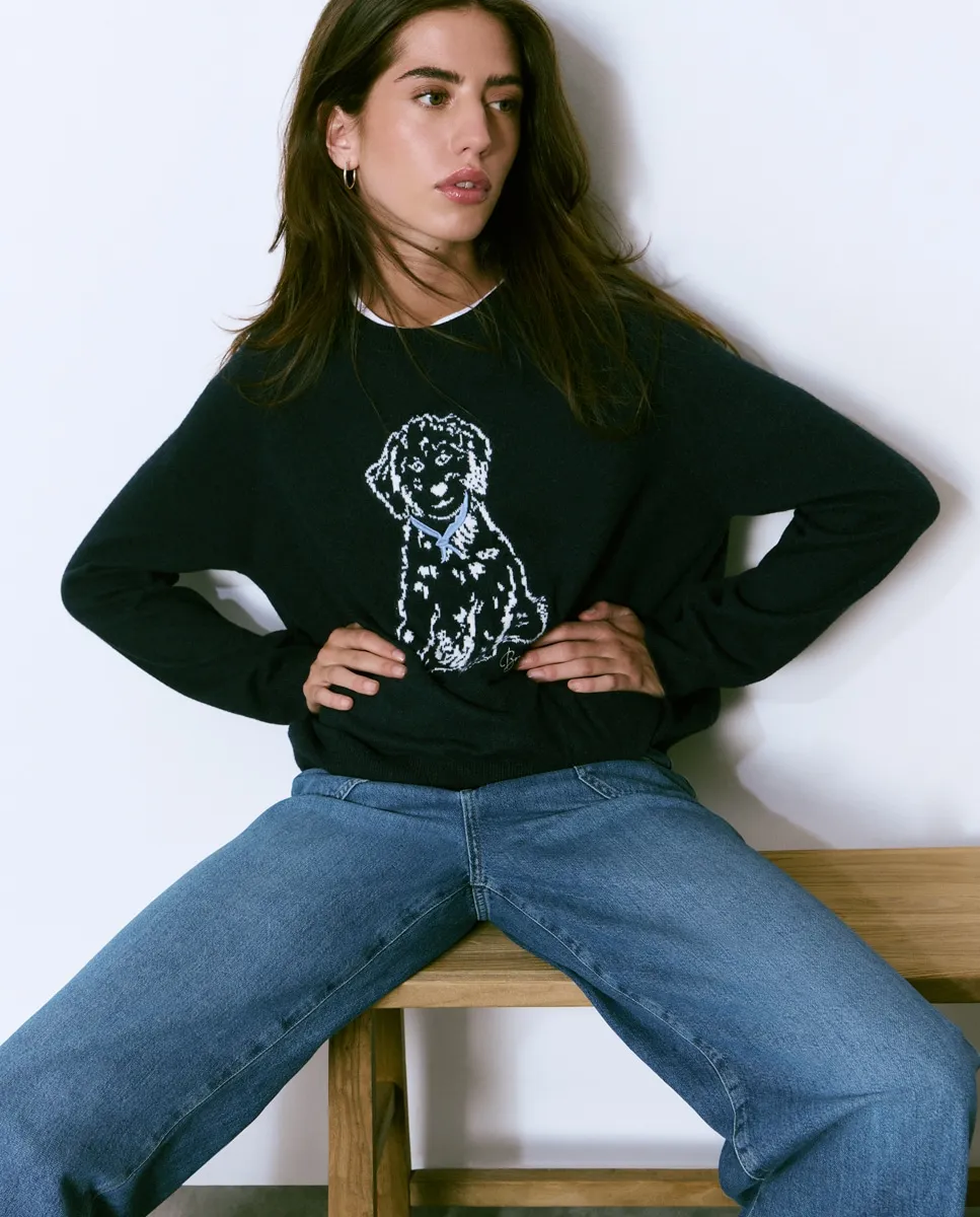 

Женский свитер с длинным рукавом с изображением щенка Brownie, морской