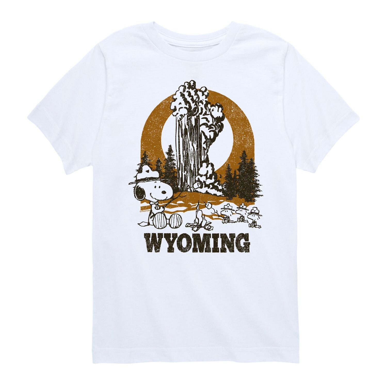 

Футболка с рисунком Peanuts Snoopy Wyoming для мальчиков 8–20 лет Licensed Character, белый