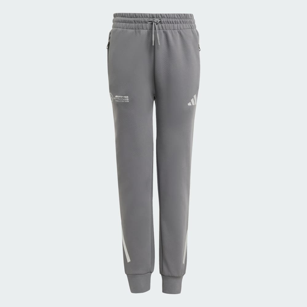 

Спортивные брюки Adidas Mercedes-AMG Petronas Formula One Team Silver Arrows Pant Kids, цвет Grey Five