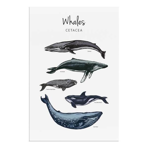 

Фреска Artgeist Whales, разноцветный