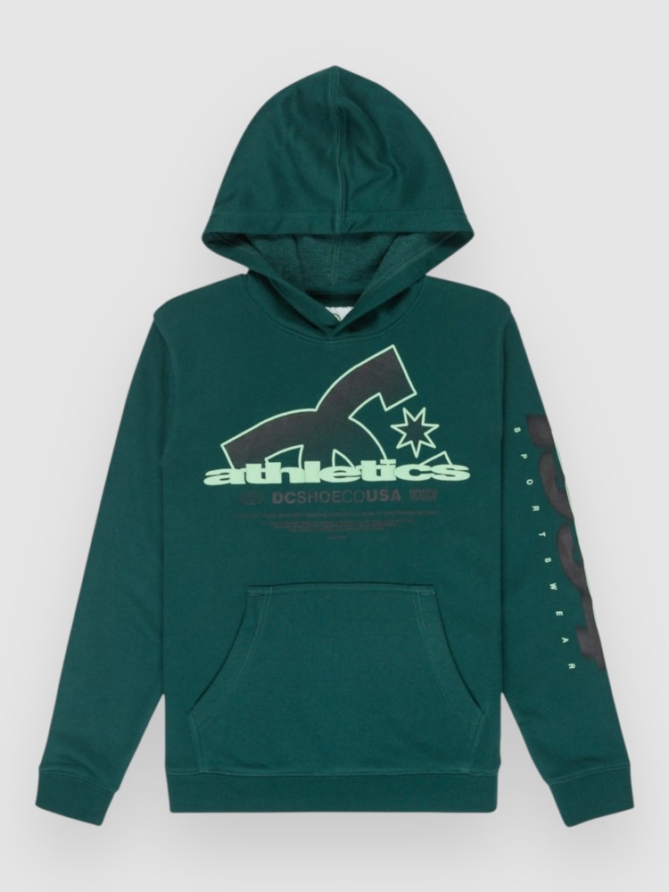 

Толстовка DC Slathletic Kids Hoodie, ponderosa pine