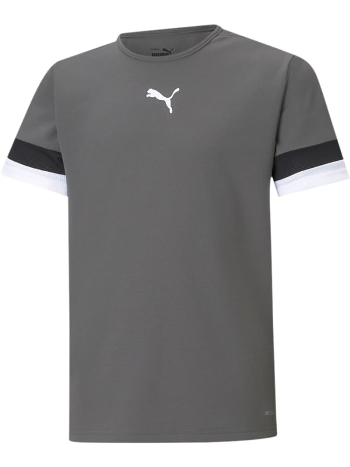 

Спортивная футболка TeamRISE Jersey Jr серого цвета Puma