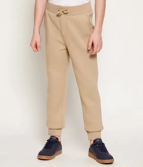 Спортивные штаны regular fit Polo Ralph Lauren, бежевый