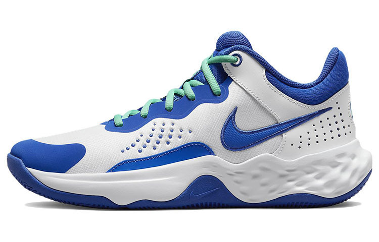 

Nike Флай бай мид 3 белые гейм роял
