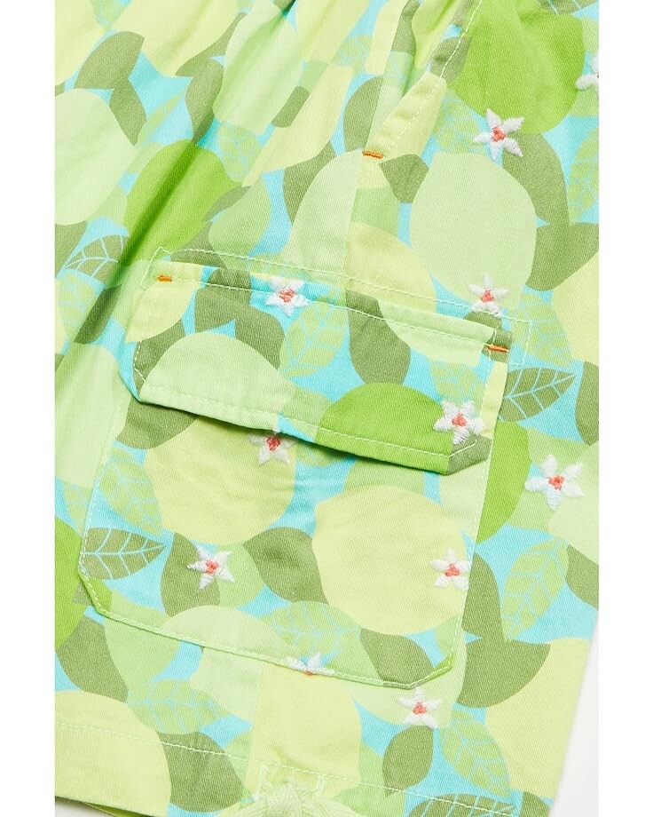 

Шорты PEEK Lime Sky Printed Shorts, цвет Print