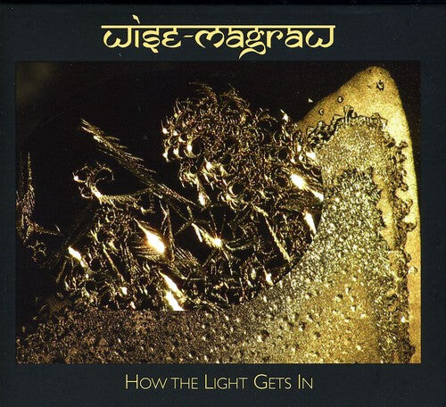 

CD диск Wise-Magraw: How the Light Gets in