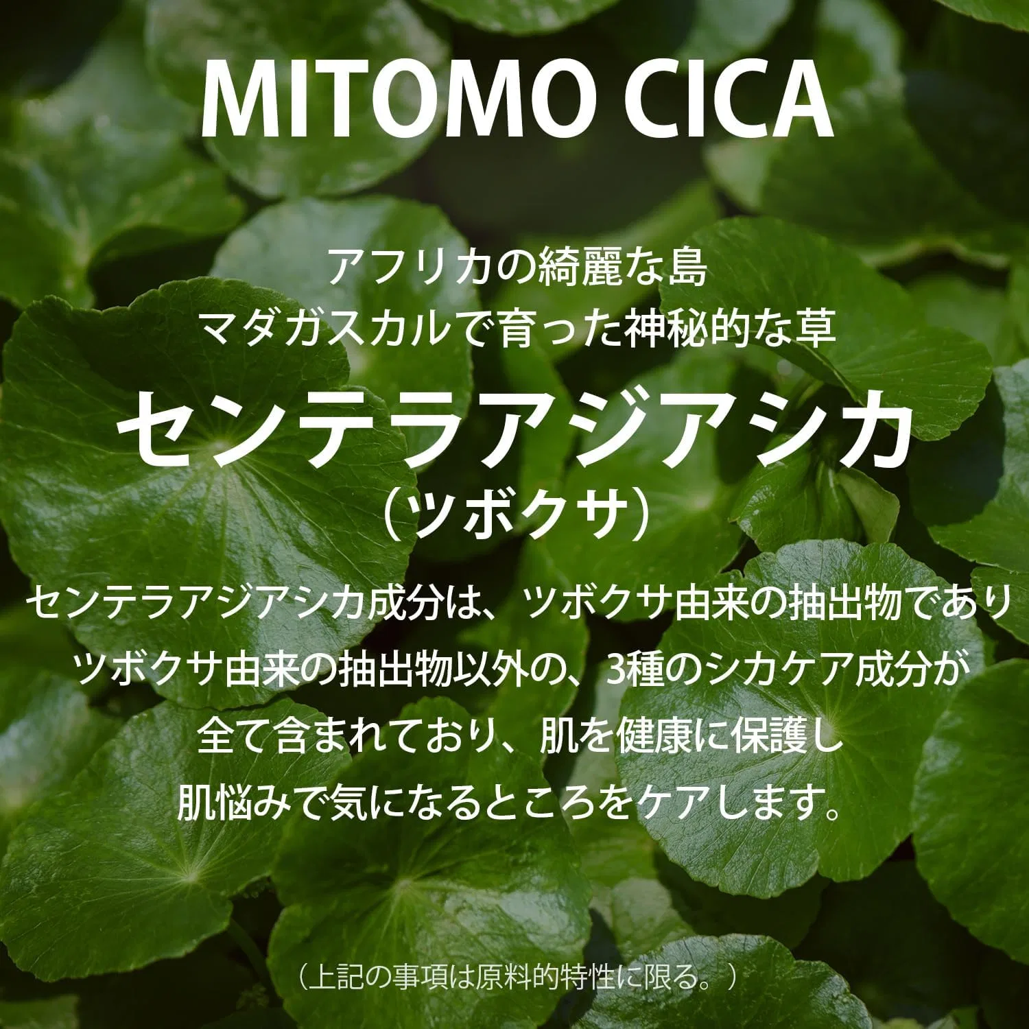 Маска для лица Mitomo Skincare — И шеи увлажняющая Natural Megumi, 310 г — фото 2
