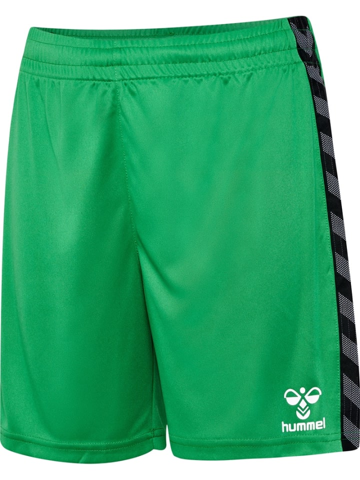 

Детские шорты "Hmlauthentic Pl Shorts Kids" разноцветные Hummel