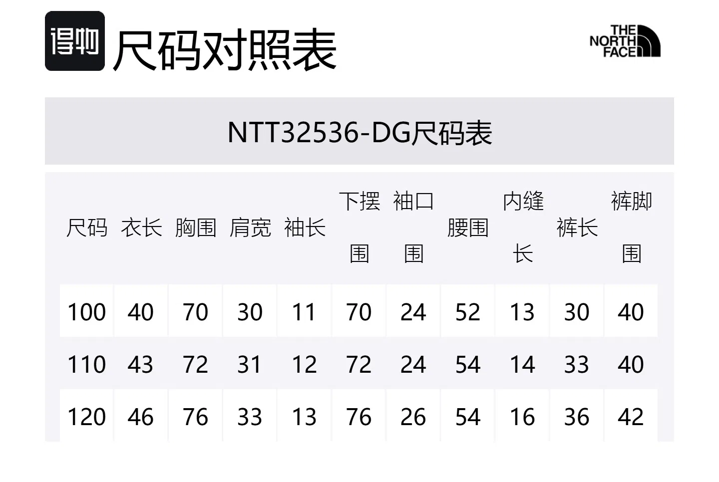 Детский спортивный костюм THE NORTH FACE Casual Sportswear зеленый — фото 2