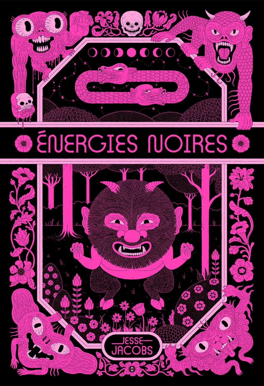 

Énergies noires (TANIBIS)