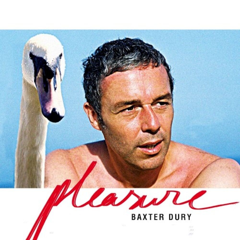 

Диск CD It's A Pleasure - Baxter Dury