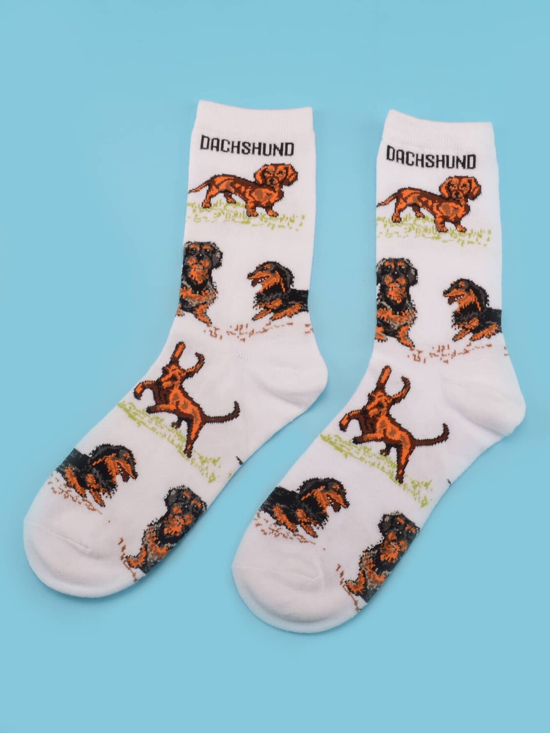 

Мужские носки Loo, с принтом собаки, многоцветный