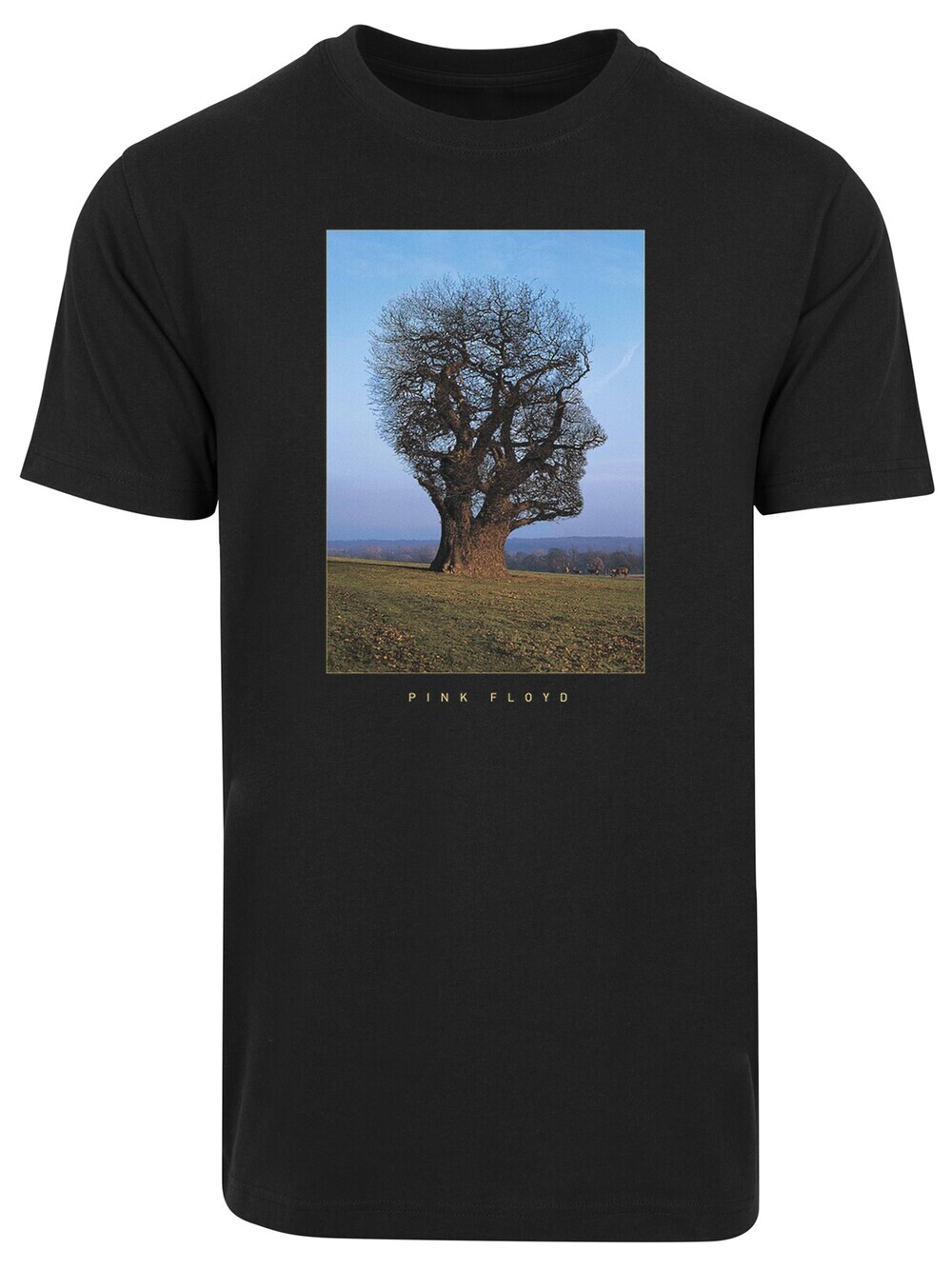 

Футболка F4Nt4Stic Pink Floyd Tree Head, черный