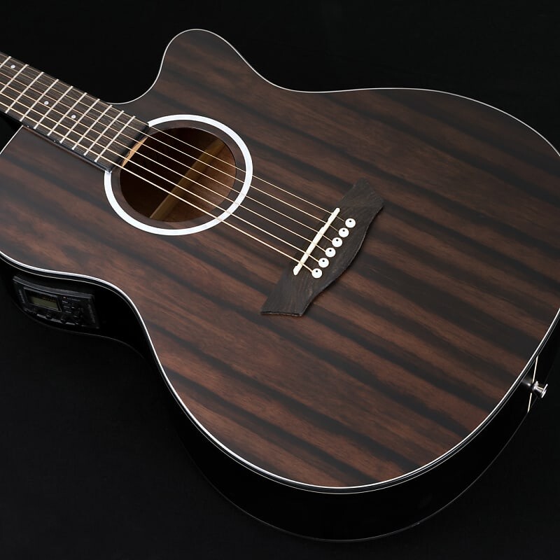 

Акустическая гитара Washburn DFEACE Deep Forest Grand Auditorium Shape Ebony Ace Wood 6-String Acoustic-Electric Guitar