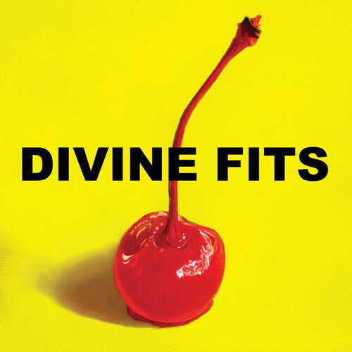 

Виниловая пластинка Divine Fits: A Thing Called Divine Fits