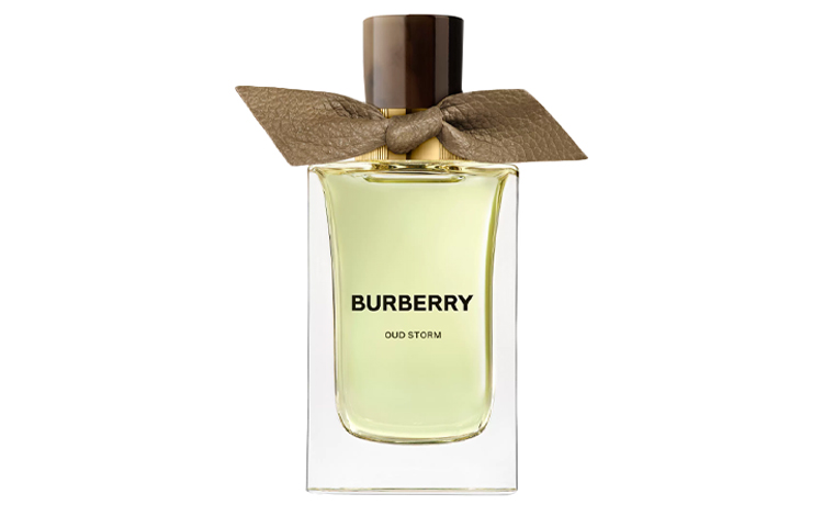 Высококлассный парфюм Ebony Storm с древесными нотами Eau De Parfum EDP 100 мл Burberry — фото 2