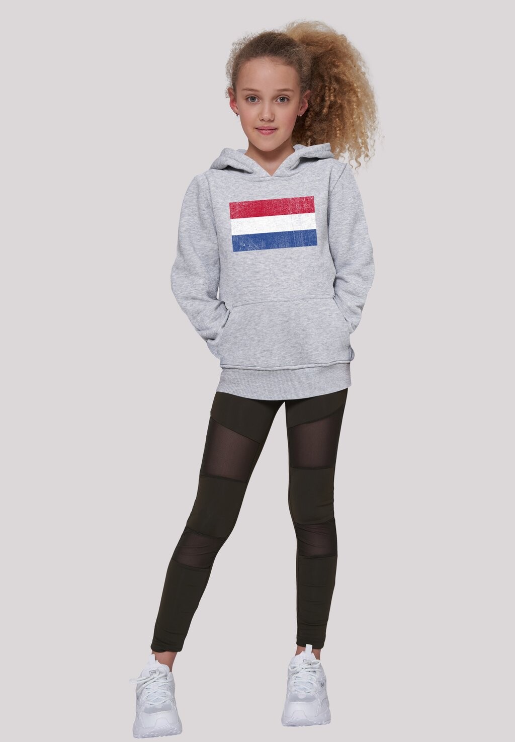 

Толстовка NIEDERLANDE HOLLAND FLAGGE DISTRESSED F4NT4STIC, цвет heather grey