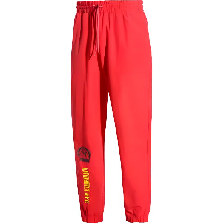 

Повседневные брюки мужские Red PUMA