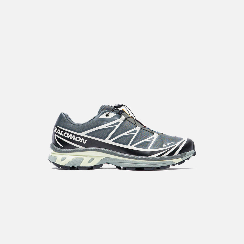 

Кроссовки Salomon XT-6 Gore-tex, цвет Urban Chic/Black/Lime Cream