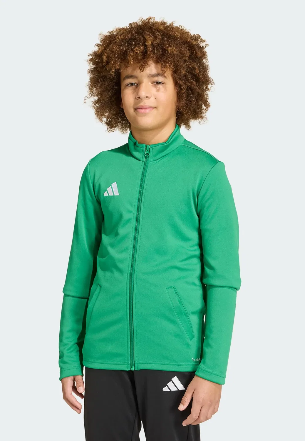 Детская спортивная куртка Entrada26 унисекс - тренировочная куртка Adidas Performance, Gruenweiss