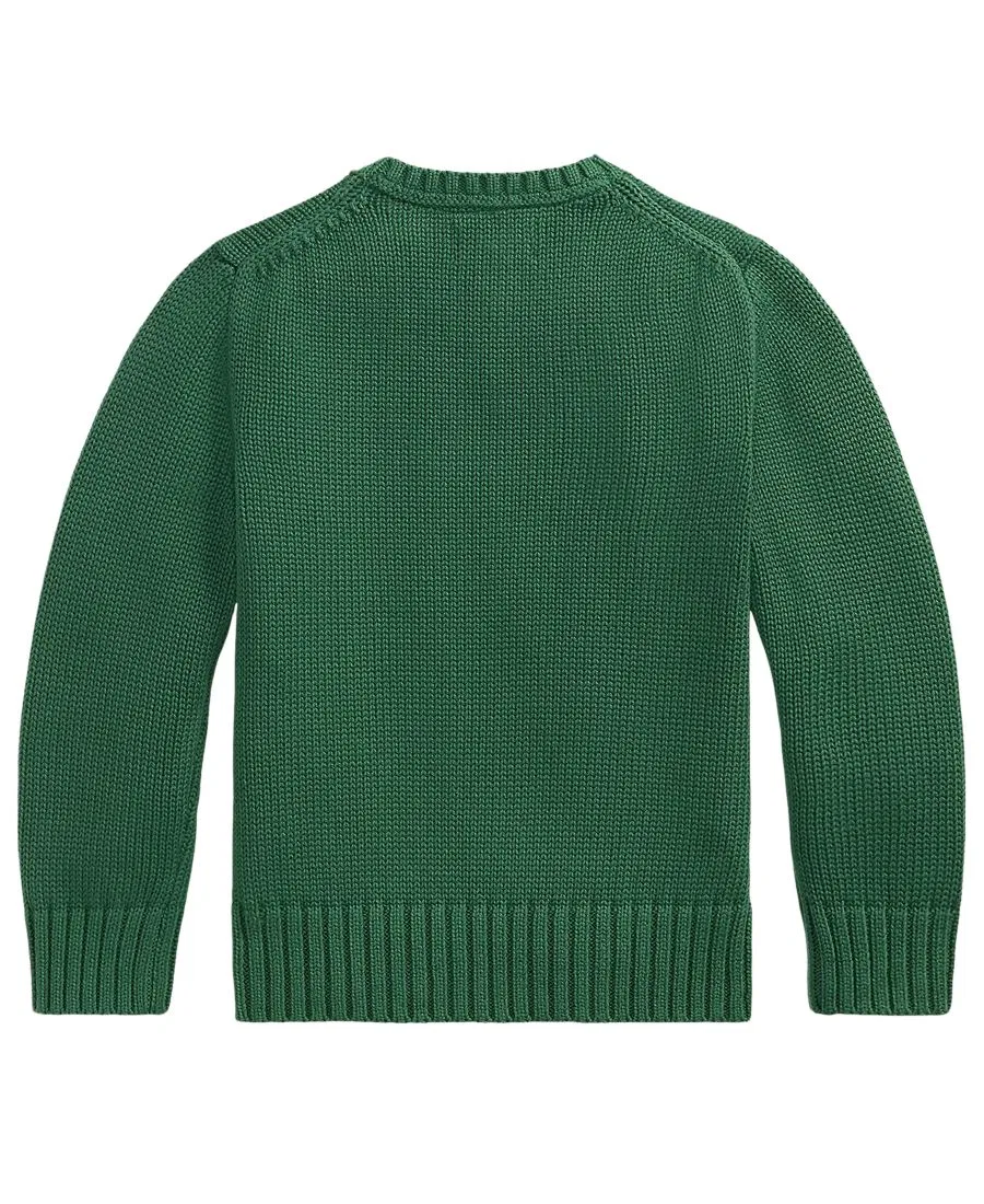 Свитер с круглым вырезом с длинным рукавом Polo Ralph Lauren, Verano Green — фото 2