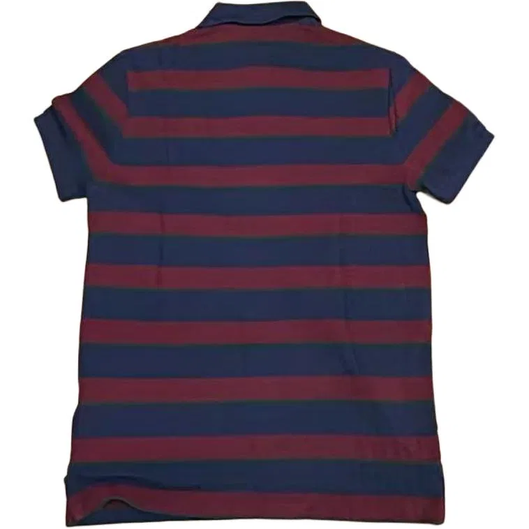 Мужское поло с воротником и умеренным прямым кроем Multicolor Polo Ralph Lauren — фото 3