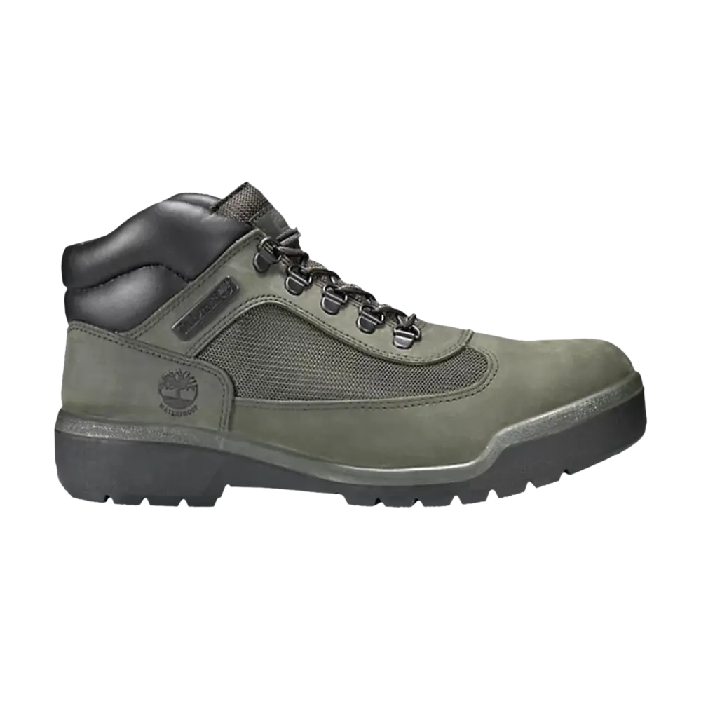 

Ботинки Field Boot Timberland, зеленый