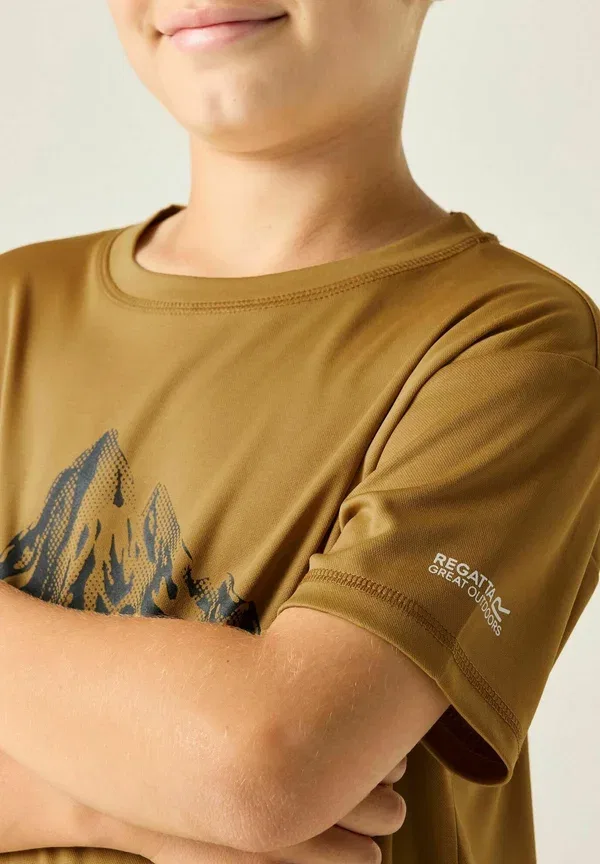 Футболка Regatta Alvarado short sleeved graphic t-shirt, коричневый — фото 4