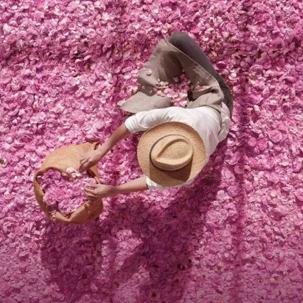 Масло для тела Miss Dior Floral Rose, 100 мл, DIOR, Rose — фото 2