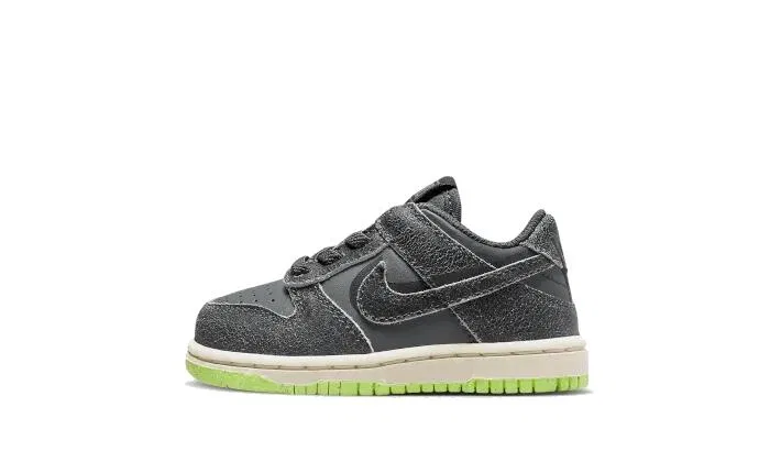 Детские кроссовки с низким силуэтом Dunk Low Swoosh Shadow Nike, Iron Grey