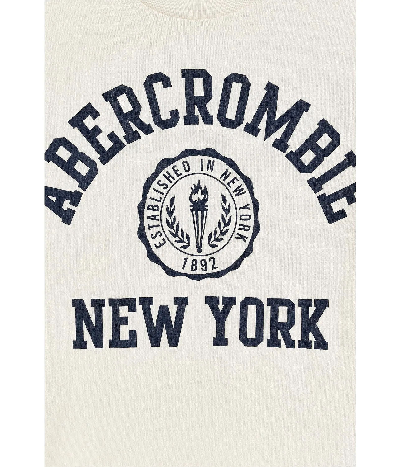 Футболка с эмблемой Y2K (для маленьких и больших детей) Abercrombie Kids, Jet Stream — фото 3