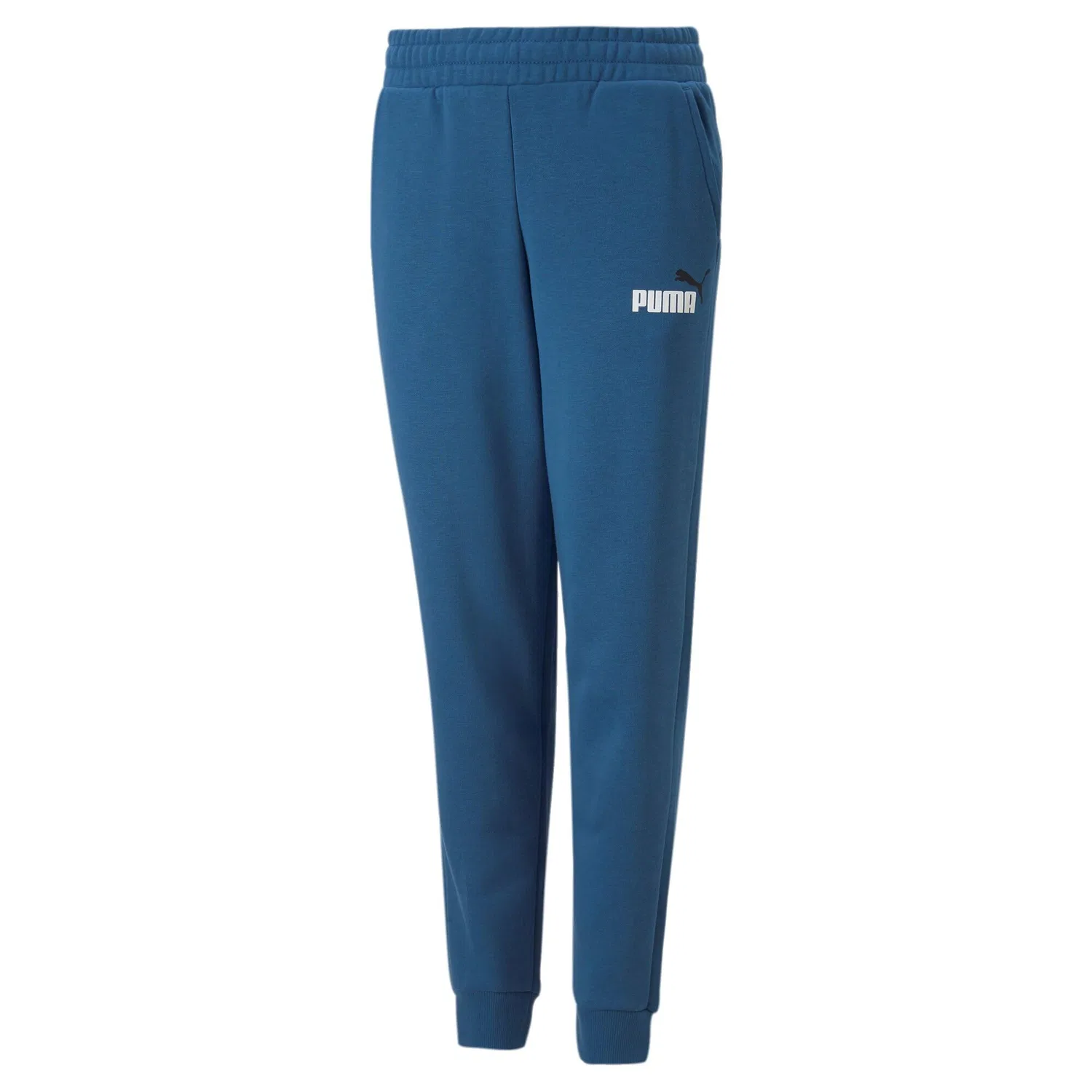 Детские спортивные брюки с принтом ESS+ 2 Col Logo Pants Puma, Konigsblau