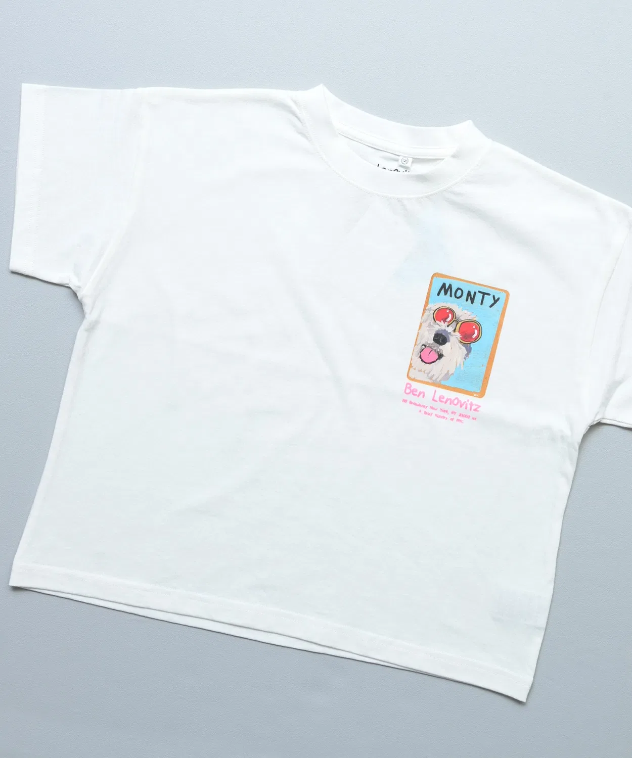 Детская футболка с принтом Ben Lenovitz, Charcoal — фото 2