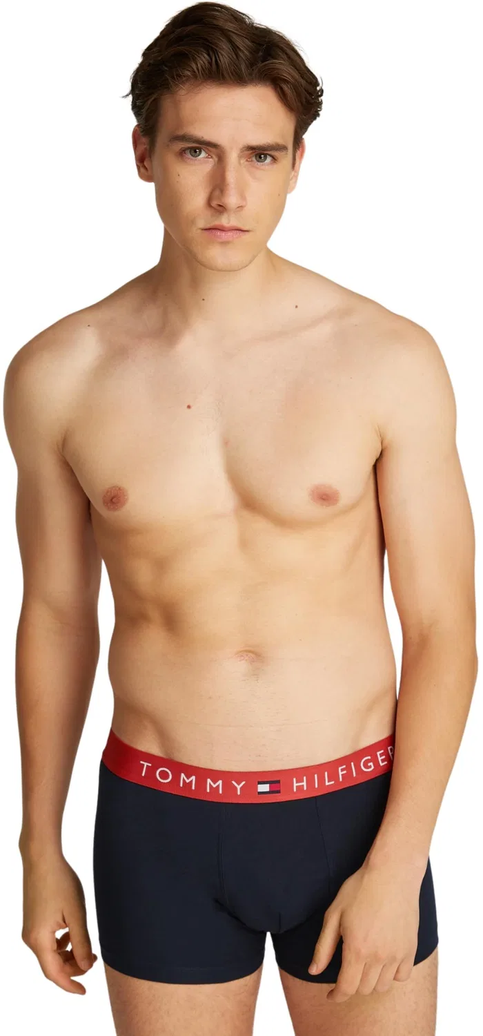 Мужские хлопковые боксеры Tommy Hilfiger, Beige (Terra Red/Pri Red/Des Sky)