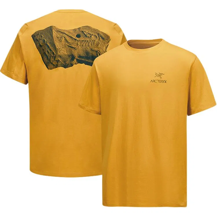 Мужская футболка с круглым вырезом Kragg Arcteryx, Drifting Wood White/Ultramarine Blue/Sea Salt/Vitality — фото 4